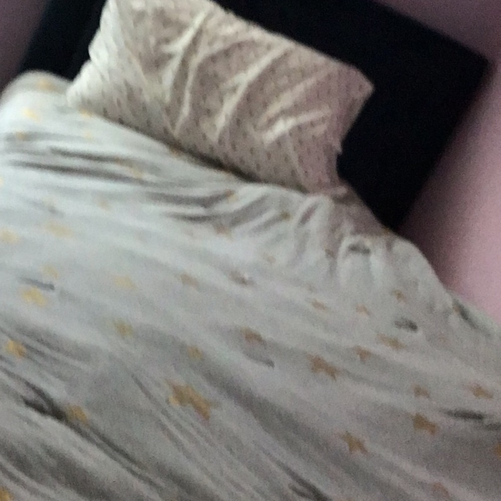 Meet your Posher, Zoey